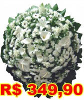 /album/galeria-de-fotos-coroa-de-flores-niteroi/coroa-de-flores-parque-da-colina-02-jpg/